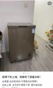 化妆品冰柜推荐品牌排行榜(化妆品冰柜推荐品牌排行榜前十名)