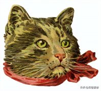 男女性对服装的看法(男女人体差异对服装设计的影响)