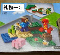 我的世界女性服装(我的世界女性服装图片)