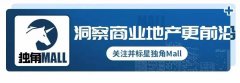 海南女士化妆包包品牌排行榜(为什么苹果突然调节不了亮度)