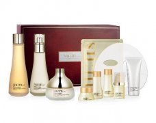 女性人体上色服装品牌(女性上衣品牌)