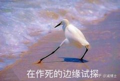 世界上变态减肥方法(快狠变态减肥法)