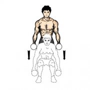 哑铃深蹲怎么做(哑铃深蹲视频教程)