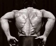 李小龙胸肌锻炼方法(李小龙肌肉锻炼)