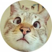 海员女性服装图片高清大图(国际海员服图片)