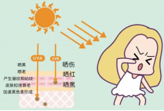 夏季通勤化妆品牌子排行榜(适合夏天用的护肤品牌排行)
