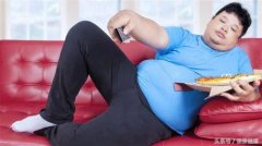 人体内脂怎么减(如何减体内脂)