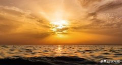 化妆品冰柜品牌排行榜大全(化妆品冰柜品牌排行榜大全及价格)