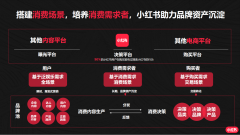 年终女性购买服装的消费力(女性对衣服的消费趋势)