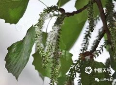 山西化妆水排行榜品牌(山西化妆水排行榜品牌有哪些)