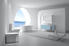 厕所化妆品收纳品牌排行榜(洁厕用品什么牌子好)