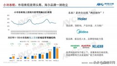 化妆品冰柜推荐品牌排行榜(冰柜十大品牌排行榜)