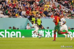 国货化妆品冰箱品牌排行榜(国内排名前十的冰箱品牌)