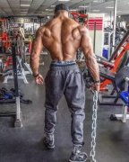 背脊运动怎么做(训练背脊的动作)