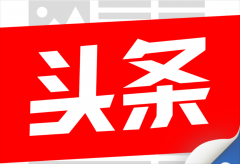 女性服装板块图解视频(女性服装板块图解视频大全)