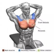 全身肌肉拉伸的方法(肌肉拉伸的四种方法)