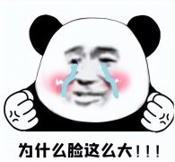 减脸上的肉怎么减(减肥减脸上肉怎么减)