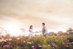 鼓浪屿本地化妆品牌排行榜(丰田荣放2.0四驱百公里加速)