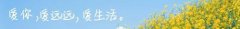 泰国实木化妆盒品牌排行榜(泰国牌子的化妆品)