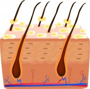推荐女士套装化妆品牌排行榜(女性什么套装化妆品牌好)