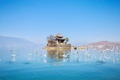 巍山彝族女性服装店在哪里(昆明彝族服装专卖店)