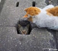 欧式女士化妆品牌排行榜(女士高端化妆品牌排行)