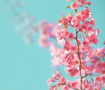 怎么保持身材(减肥后怎么保持身材)