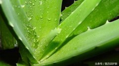 海南控油化妆水品牌排行榜(海南化妆品什么牌子好)