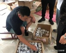 高颜值化妆粉扑品牌排行榜(气垫粉扑排行榜)