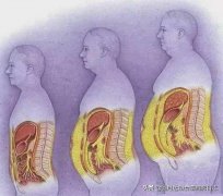 怎么才能快速减去皮下脂肪(怎样才能减皮下脂肪)