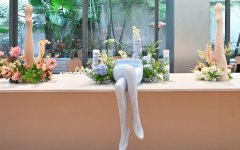 新女性服装品牌大全图文(新时尚女装品牌)