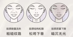 化妆品黑色瓶品牌排行榜(棕色瓶子的化妆品品牌)