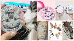 猫咪化妆工具品牌排行榜(猫品牌化妆品)