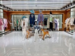 广州中年女性服装哪里买(广州哪里可以买中年女士衣服)