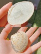 北京保湿化妆水品牌排行榜(保湿水排行)