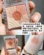 平价腮红化妆品牌排行榜(国际品牌腮红排行榜)