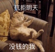 高端化妆品小众品牌排行榜(中端化妆品品牌排行榜)