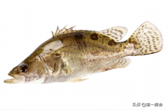 湖南控油化妆水品牌排行榜(湖南控油化妆水品牌排行榜前十)