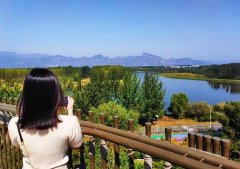 服装论文女性力量作文素材(关于服装论文3000字)