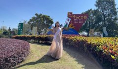 中山服装女性(女中山服图片)