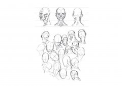 人体分割服装图片女性动漫(动漫割女人物的衣服)