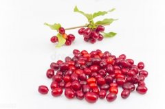 中医服装推荐图片女性穿搭(中医服装推荐图片女性穿搭大全)