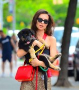 狂野女性服装搭配(狂野衣服搭配)