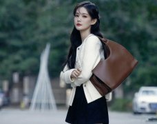 女性服装手提袋图片(女性服装手提袋图片真实)