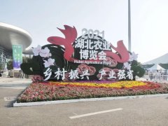 女性服装灯箱广告词(女装形象墙灯箱广告图片)