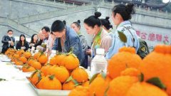 丹棱化妆品牌排行榜(丹麦化妆品牌排行榜)