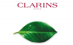 品牌孕妇化妆品排行榜(品牌孕妇化妆品排行榜)