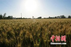 便捷化妆刷品牌排行榜北京(好用的化妆刷牌子)