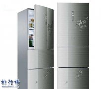知名化妆品冰箱品牌排行榜(冰箱品牌排行榜前十名官方)