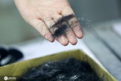 迪奥化妆刷排行榜品牌推荐(迪奥什么彩妆产品好用)